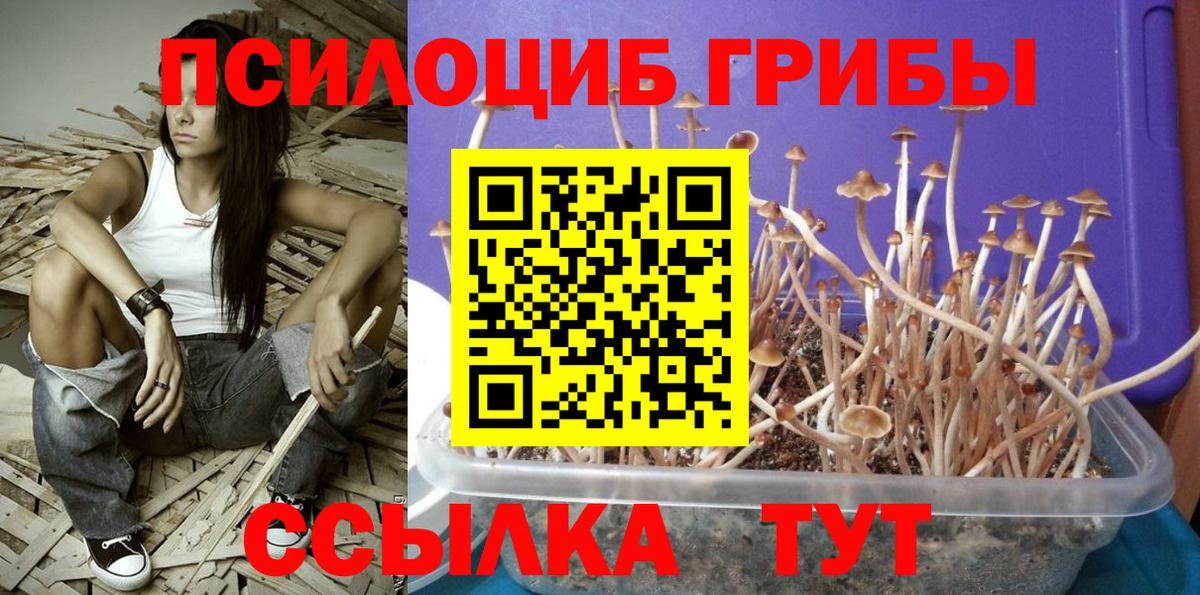 Псилоцибиновые грибы мухоморы Узловая
