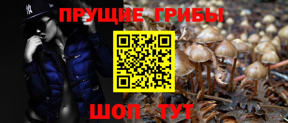 Галлюциногенные грибы Psilocybine cubensis  Вход с VPN  Узловая  Псилоцибиновые грибы Psilocybe 